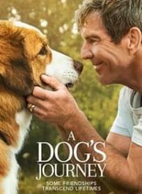 دانلود فیلم A Dogs Journey 2019