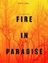 دانلود فیلم Fire In Paradise 2018