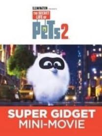 دانلود فیلم Super Gidget 2019