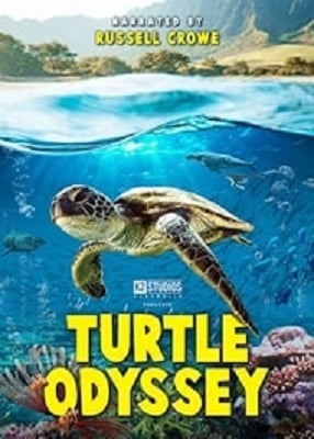 دانلود فیلم Turtle Odyssey 2019