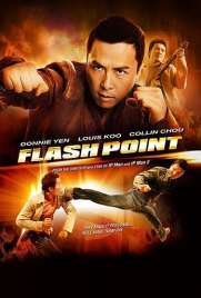 دانلود فیلم Flash Point 2007