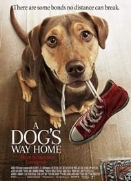 دانلود فیلم A Dogs Way Home 2019