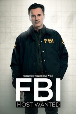 دانلود قسمت چهاردهم سریال FBI: Most Wanted
