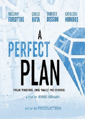دانلود فیلم A Perfect Plan 2020