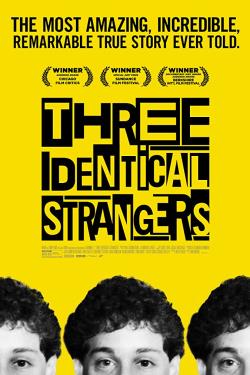 دانلود فیلم Three Identical Strangers 2018