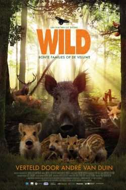 دانلود فیلم Wild 2018