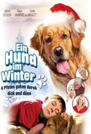 دانلود فیلم Christmas with Tucker 2013