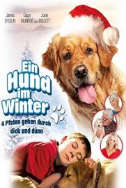 دانلود فیلم Christmas with Tucker 2013