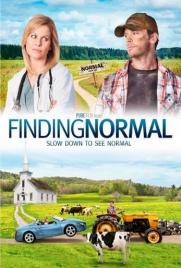 دانلود فیلم Finding Normal 2013