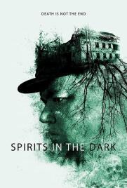 دانلود فیلم Spirits in the Dark 2019