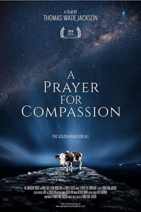 دانلود فیلم A Prayer for Compassion 2019