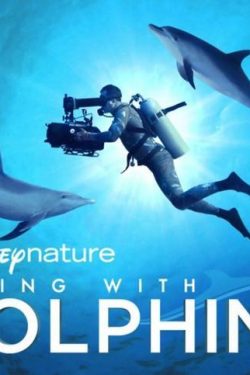 دانلود فیلم Diving with Dolphins 2020