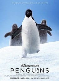 دانلود فیلم Penguins 2019