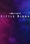 دانلود قسمت ششم سریال Little Birds