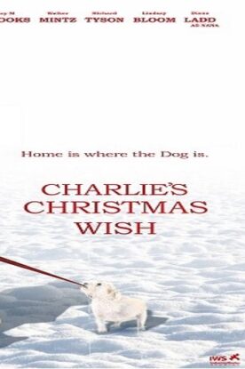 دانلود فیلم خانوادگی Charlies Christmas Wish 2020