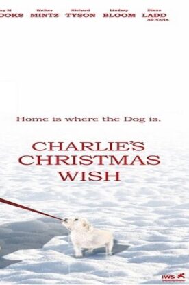 دانلود فیلم خانوادگی Charlies Christmas Wish 2020