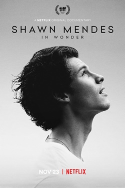 دانلود فیلم مستند Shawn Mendes: In Wonder 2020