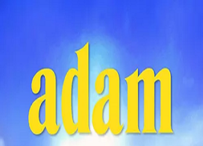 دانلود فیلم آدام Adam 2020 ۳ ۲