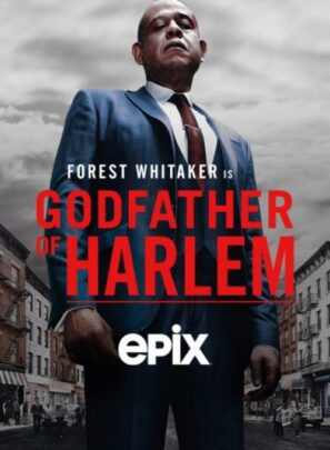 دانلود قسمت ۶ , ۷ فصل ۲ سریال Godfather of Harlem