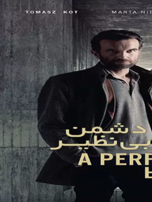 دانلود فیلم یک دشمن بی نظیر A Perfect Enemy 2020
