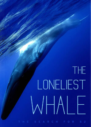 دانلود مستند تنهاترین نهنگ The Loneliest Whale 2021