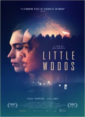 دانلود فیلم جنگل کوچک دوبله فارسی Little Woods 2018