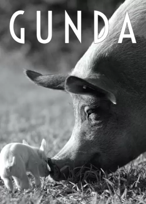دانلود مستند گوندا Gunda 2020