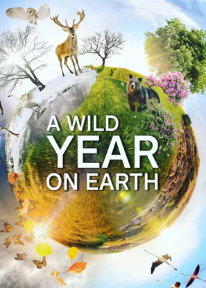 دانلود مستند A Wild Year on Earth 2020