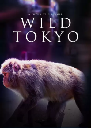 دانلود مستند توکیو وحشی Wild Tokyo 2020