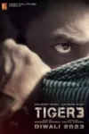 دانلود فیلم تایگر ۳ ✔️Tiger 3 2023 ببر ۳ با دوبله فارسی زیرنویس چسبیده